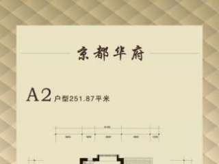 A2 251ƽ 2
